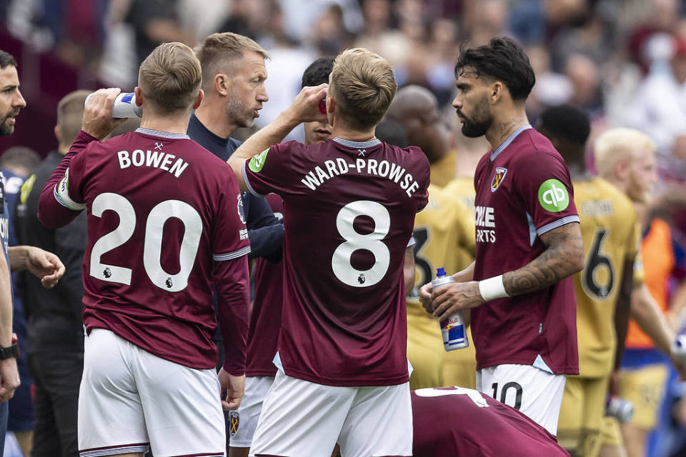 《宝可梦Z-A》人气投票揭晓：喷火龙与宝石海星登顶